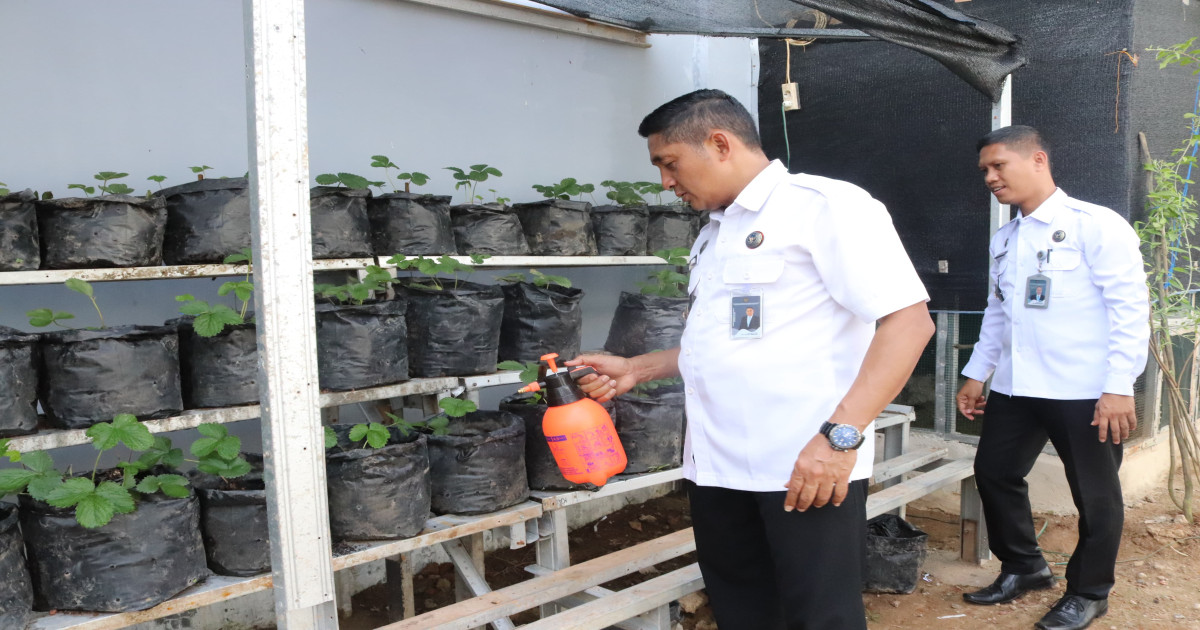 Kalapas Narkotika Karang Intan Cek Langsung Perawatan Burung Murai dan Tanaman Ceri