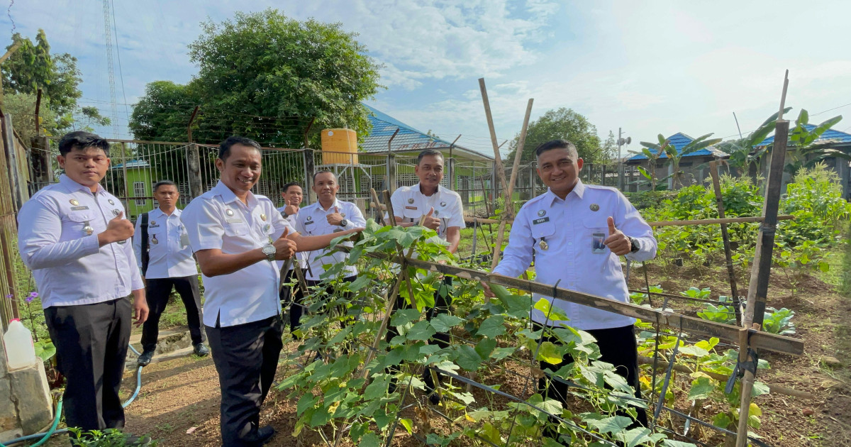 Dorong Kemandirian Pascarehabilitasi, Kalapas Tinjau Perkembangan Budidaya Timun di Lapas Narkotika Karang Intan