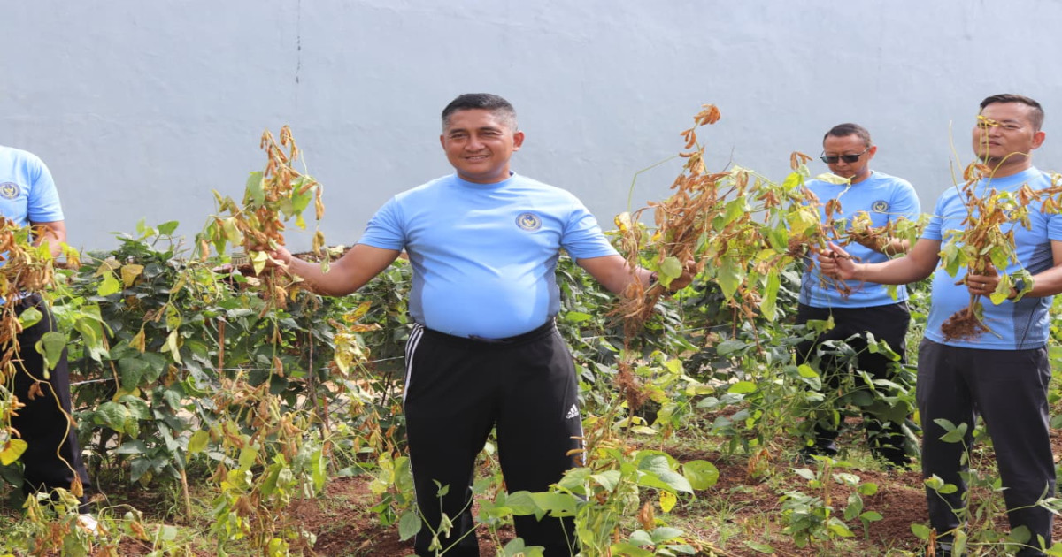 Lapas Narkotika Karang Intan Kembangkan Budidaya Kedelai untuk Dukung Ketahanan Pangan